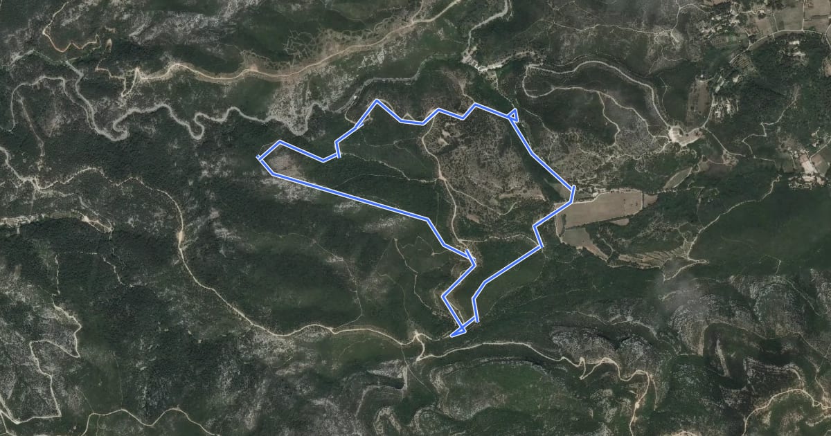Маршрут Boucle du Château de Ners на спутниковом снимке