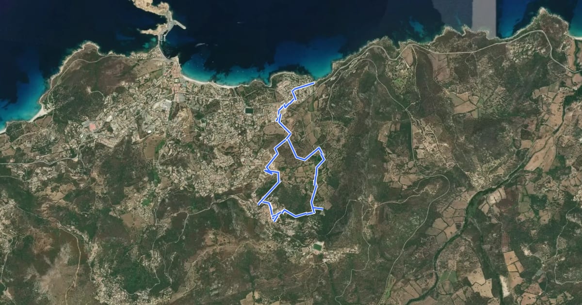 Маршрут Boucle Fiuminale Cala d'Alivu на спутниковом снимке