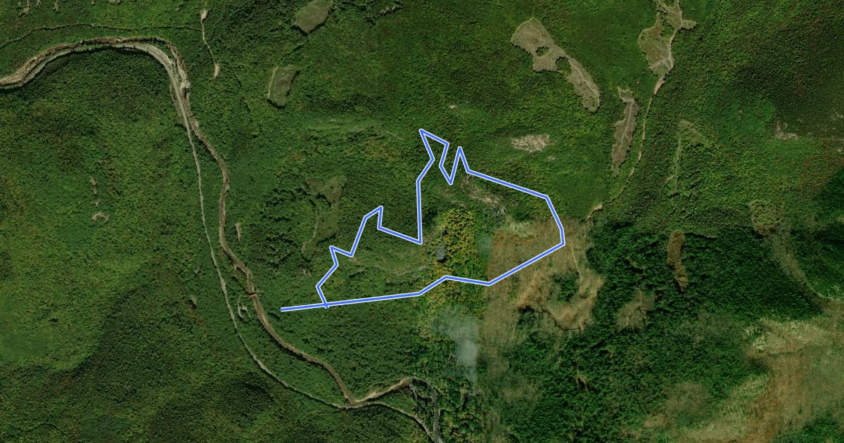 Маршрут Boulder Loop Trail на спутниковом снимке