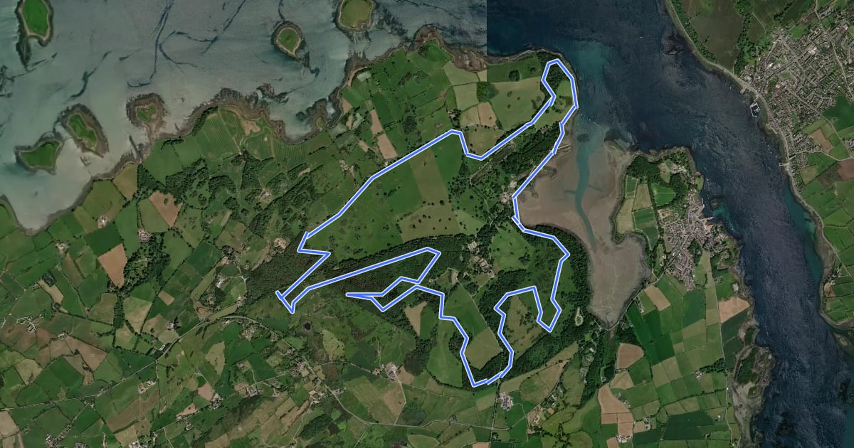 Маршрут Boundary Trail, Castle Ward на спутниковом снимке
