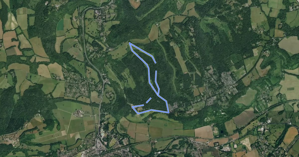 Маршрут Box Hill Juniper Top circular walk, Box Hill на спутниковом снимке