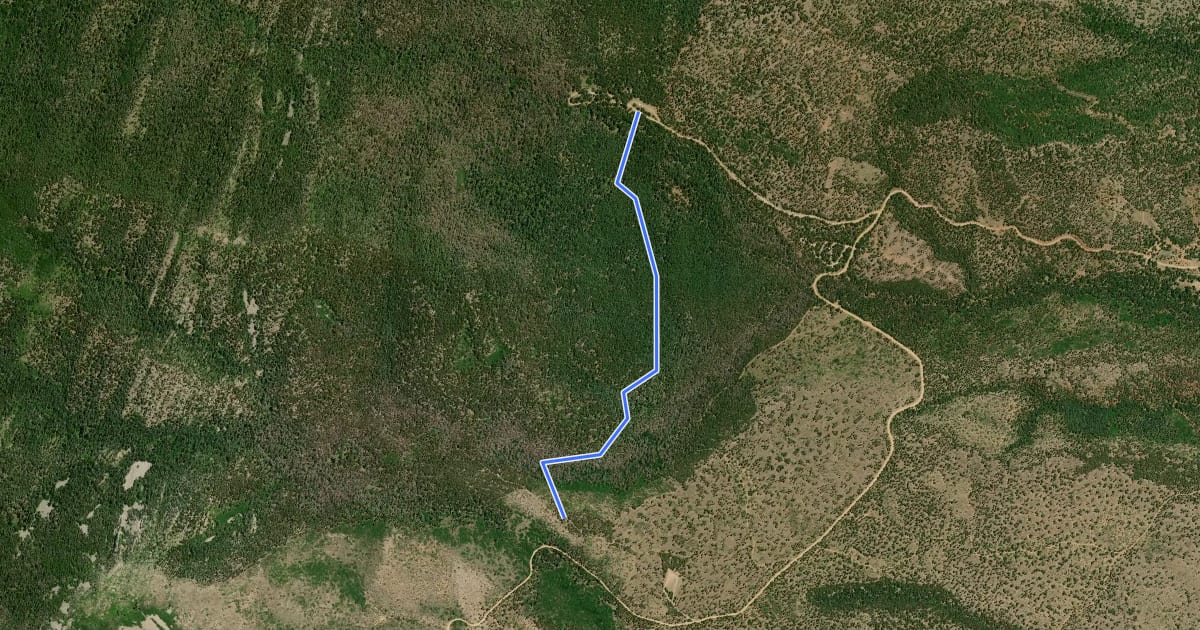 Маршрут Box Spring Trail на спутниковом снимке