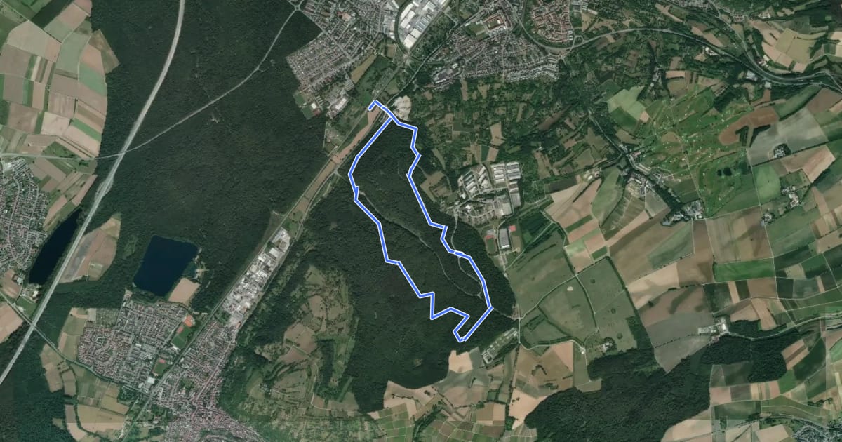 Маршрут BR - 3 Rundwanderweg Eichelberg на спутниковом снимке