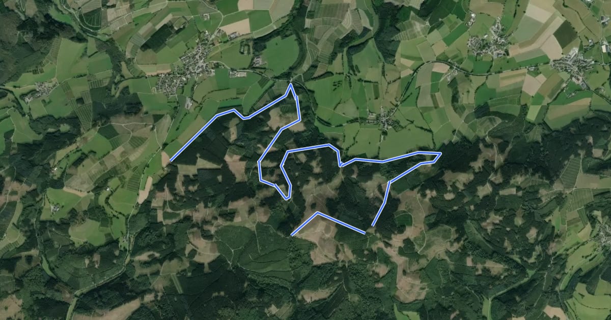 Маршрут Bracht Rundweg BR1 на спутниковом снимке