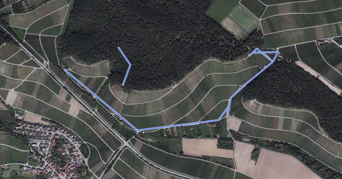 Маршрут Brackenheimer Natur- und Weinlehrpfad im Zweifelberg на спутниковом снимке