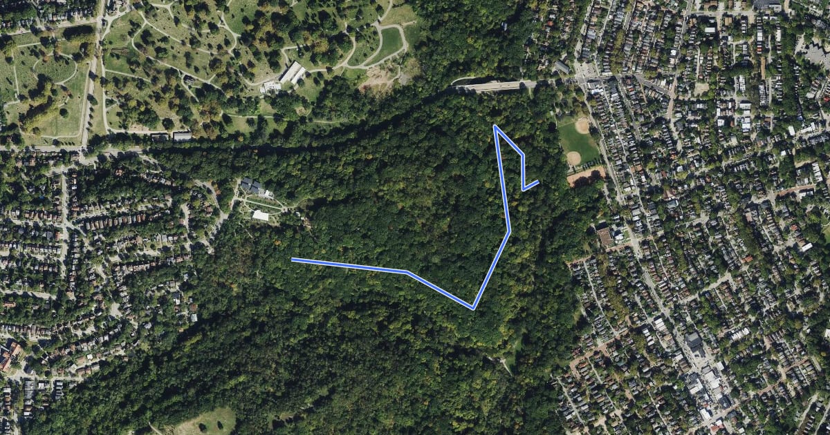 Маршрут Bradema Trail на спутниковом снимке