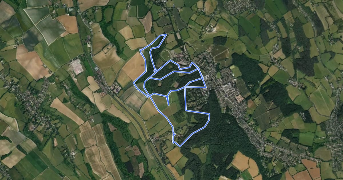 Маршрут Bradenham Beech Woods Walk, Bradenham на спутниковом снимке