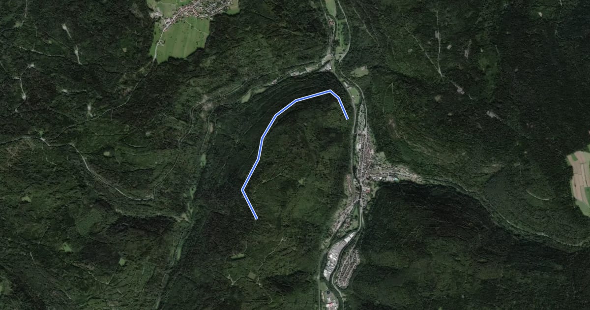 Маршрут Brandhütte - Bannwaldschrat на спутниковом снимке
