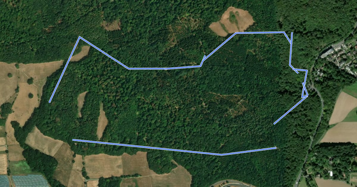 Маршрут Brasselsberg, Naturparkweg 1 на спутниковом снимке