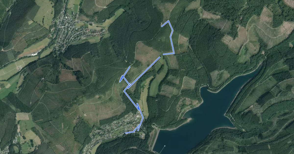 Маршрут Brauersdorf Rundweg A5 на спутниковом снимке
