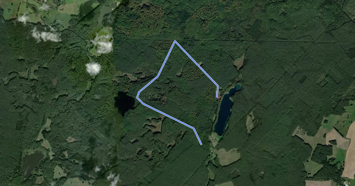 Маршрут Brauner Specht Waldsee на спутниковом снимке