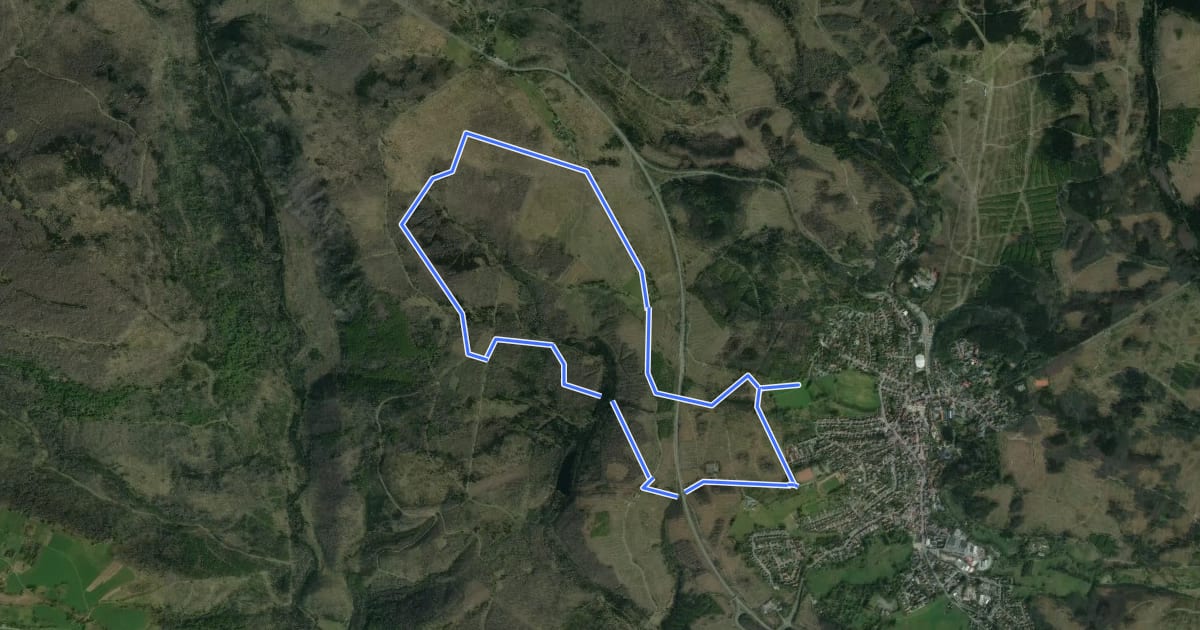Маршрут Braunlager Loipe 10 km на спутниковом снимке