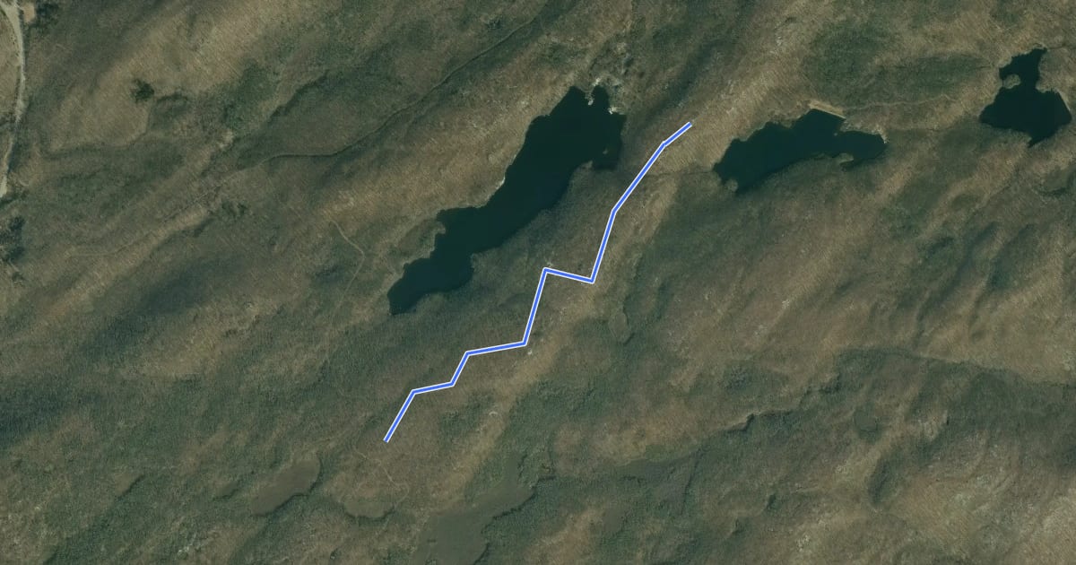 Маршрут Breakneck Mountain Trail на спутниковом снимке