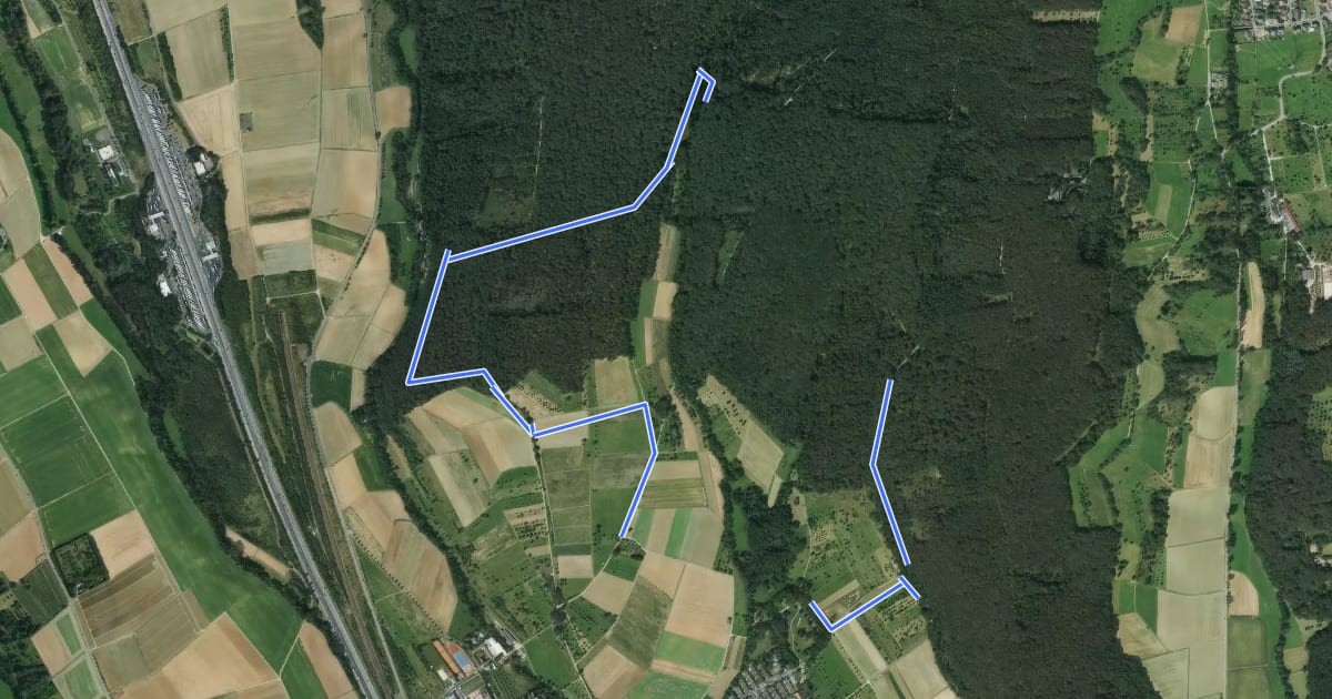 Маршрут Breckenheim: Rundwanderweg Adler на спутниковом снимке