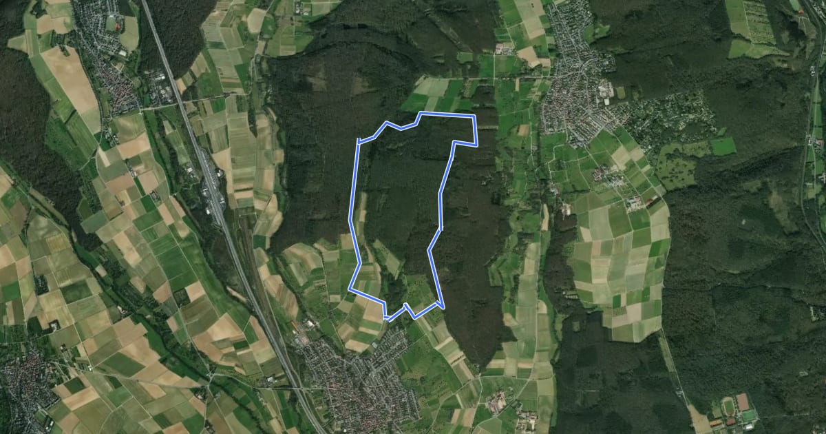 Маршрут Breckenheim: Rundwanderweg Kleeblatt на спутниковом снимке
