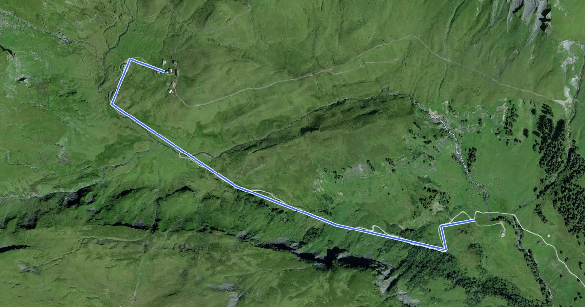 Маршрут Breitenbodenalp - Pfanni на спутниковом снимке