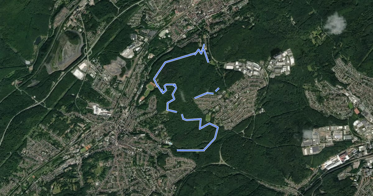 Маршрут Brennender Berg – Großer Rundweg на спутниковом снимке