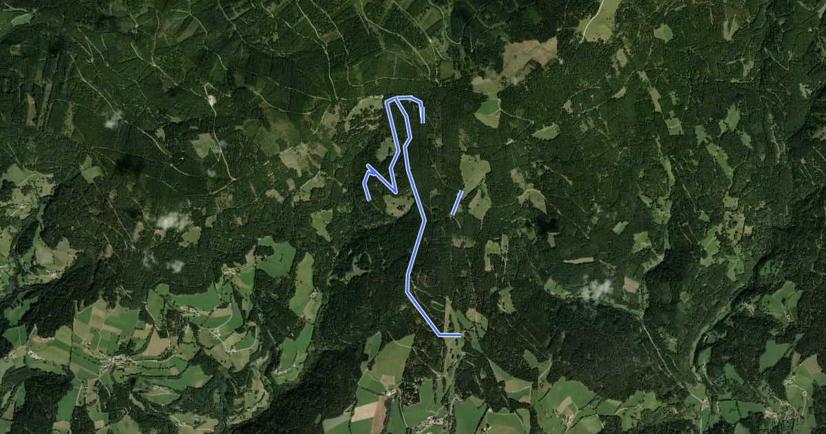 Маршрут Brennwald Rundwanderweg на спутниковом снимке