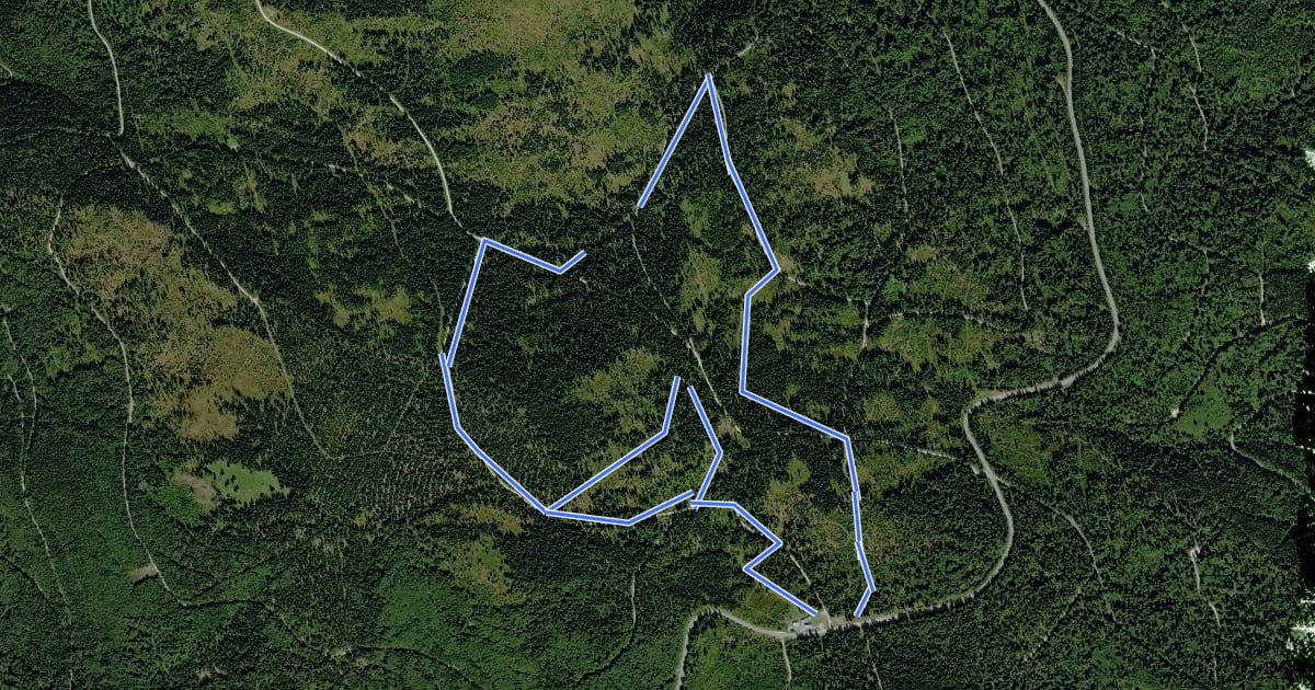 Маршрут Bretterschachten Grün на спутниковом снимке