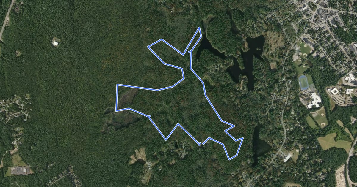 Маршрут Bridle Loop на спутниковом снимке