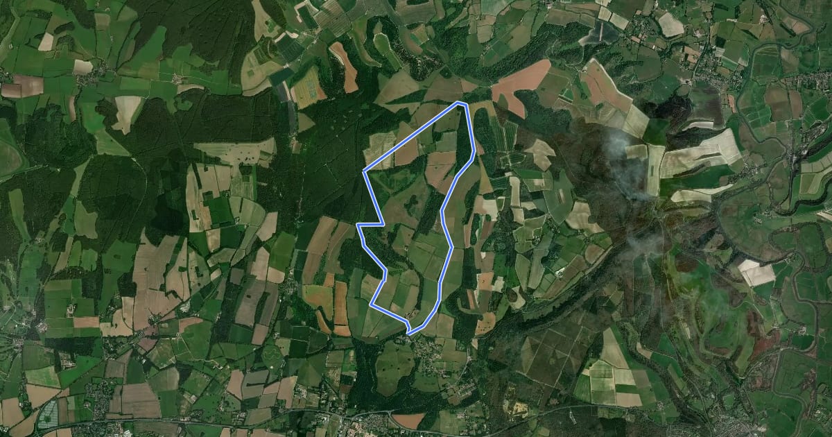 Маршрут Bridle Road to Bignor Walk, Slindon на спутниковом снимке