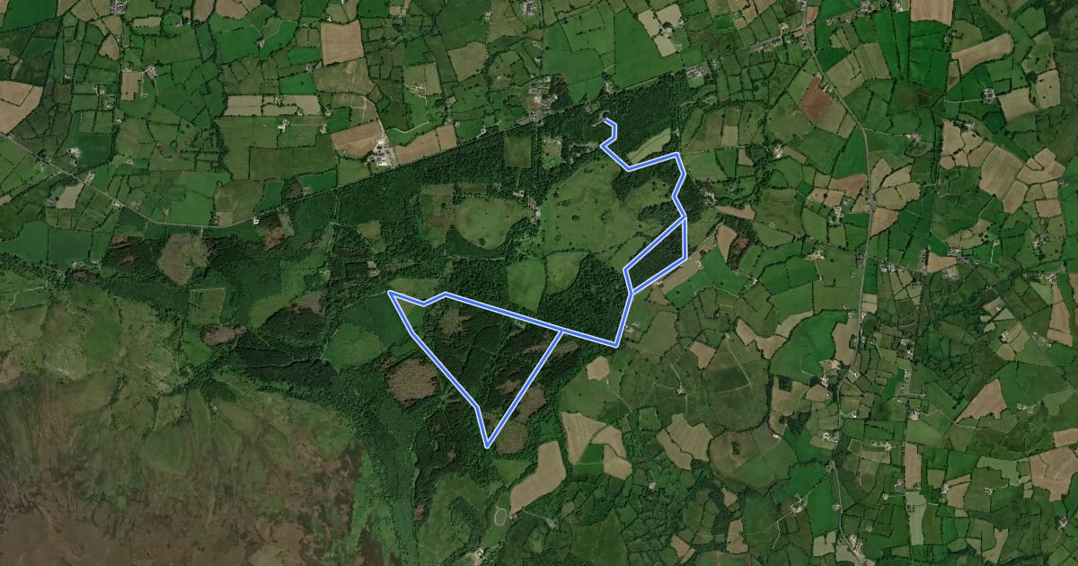 Маршрут Bridle Trail на спутниковом снимке