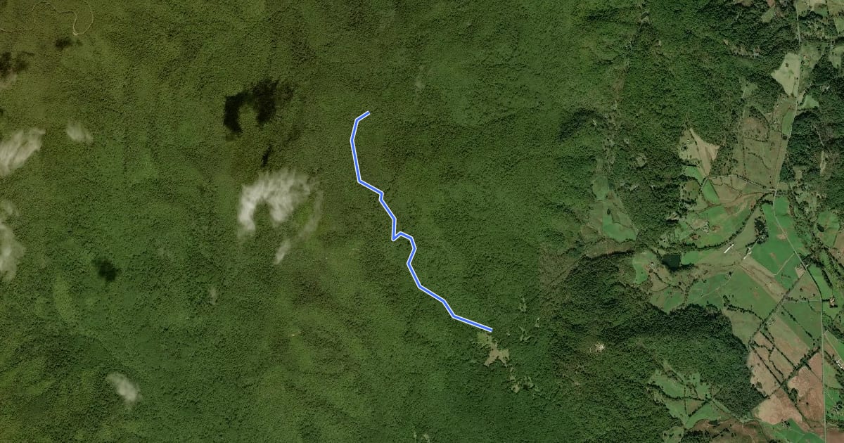 Маршрут Broad Hollow Trail на спутниковом снимке