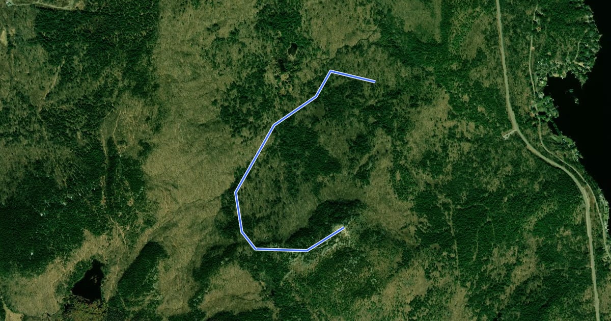 Маршрут Brook Trail на спутниковом снимке