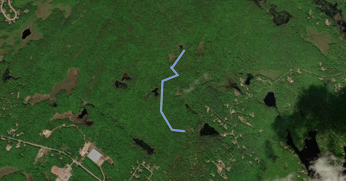 Маршрут Brook Trail на спутниковом снимке