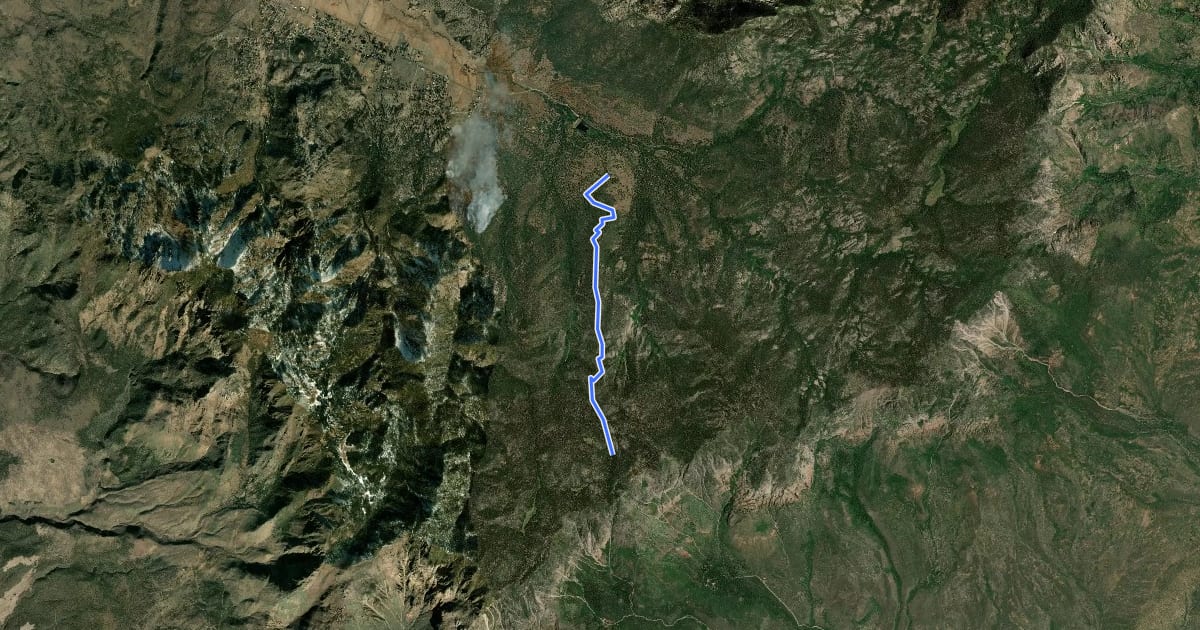 Маршрут Brown's Point Trail на спутниковом снимке