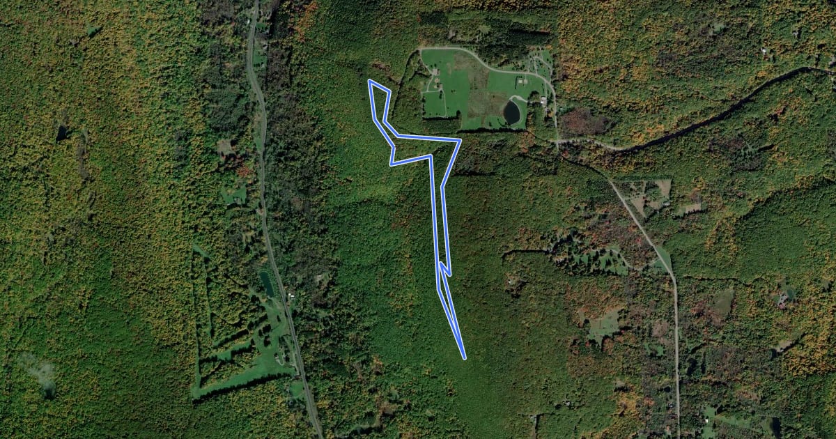 Маршрут Brown Trail на спутниковом снимке