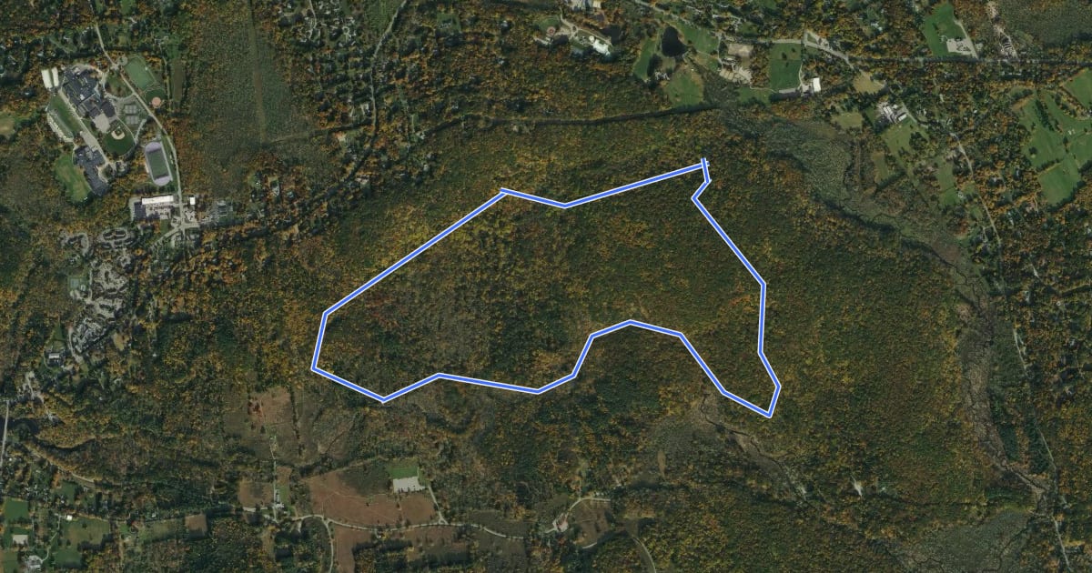 Маршрут Brown Trail на спутниковом снимке