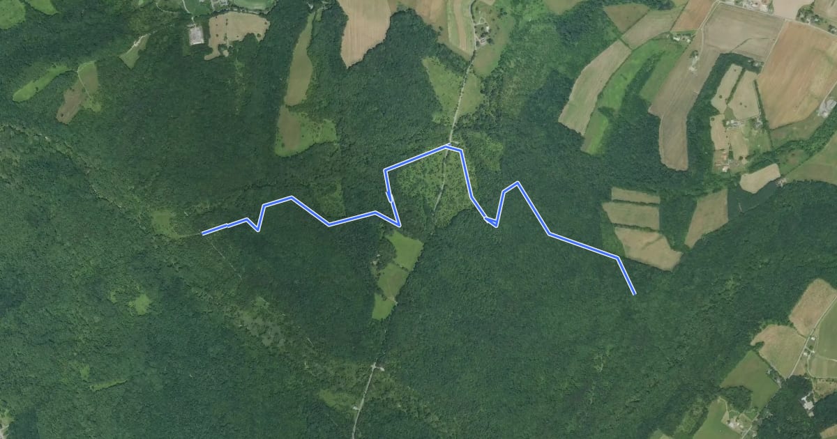 Маршрут Browning Run Trail на спутниковом снимке