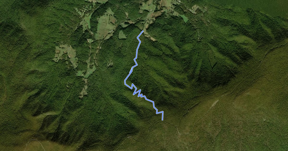 Маршрут Browntown Trail на спутниковом снимке