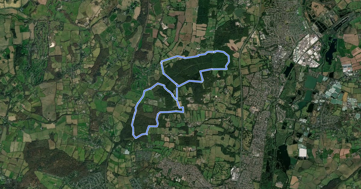 Маршрут Broxbourne Woods NNR Trail на спутниковом снимке