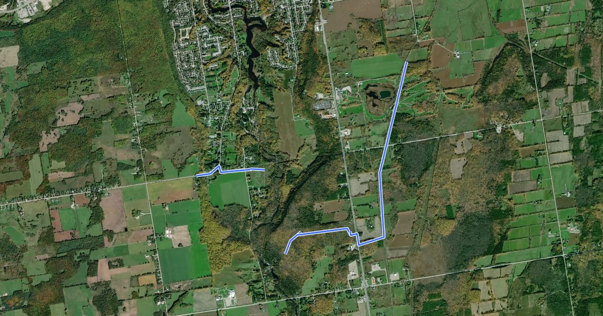 Маршрут Bruce Trail - Sydenham section side trails на спутниковом снимке