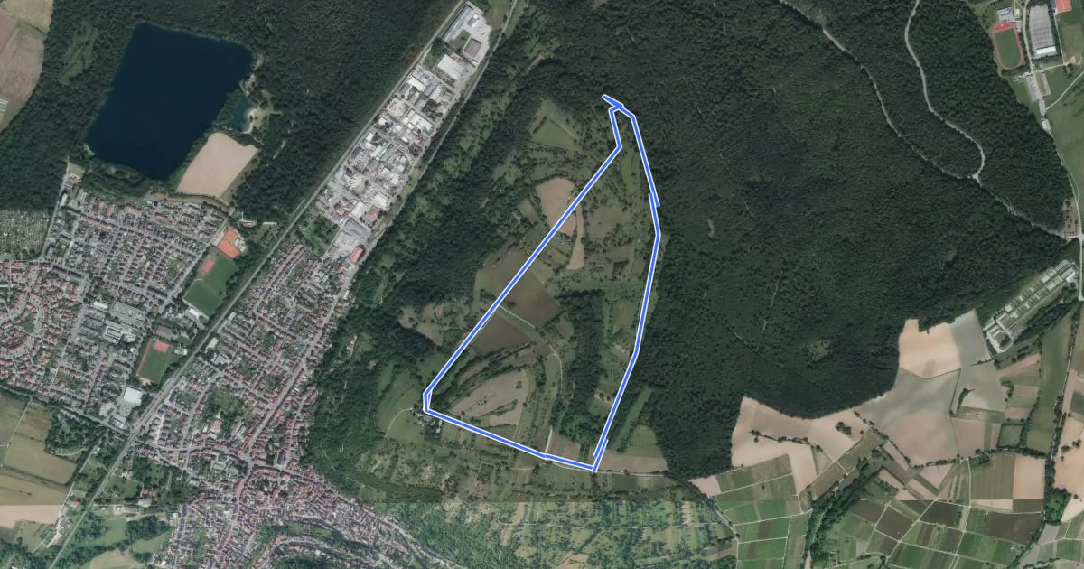 Маршрут Bruchsaler Kreuzweg und Grund на спутниковом снимке