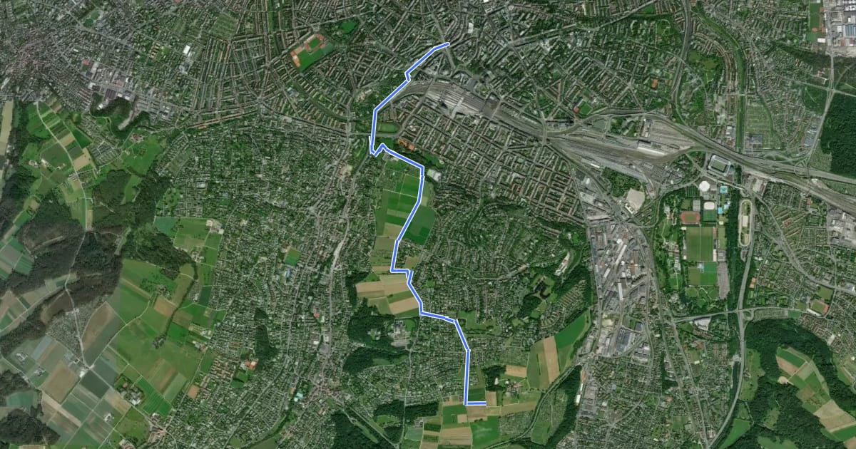 Маршрут Bruderholz-Rundweg на спутниковом снимке