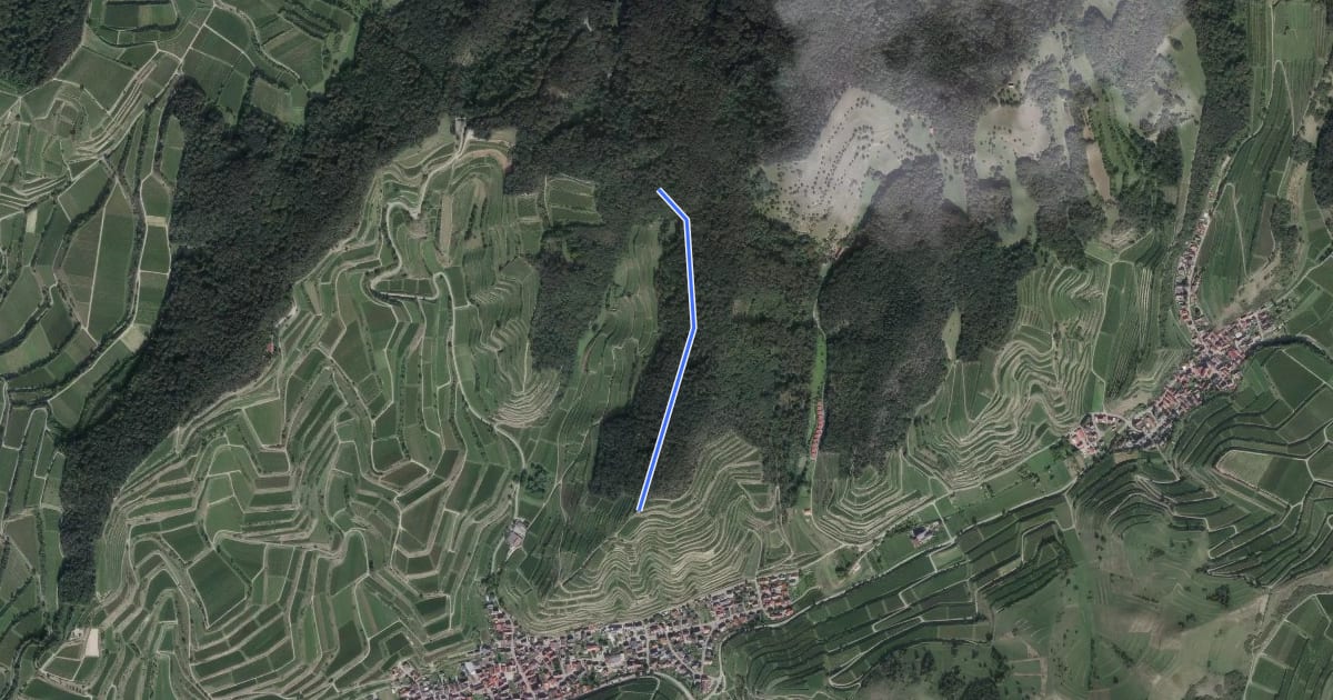 Маршрут Bruderplatz - Schneckenberg на спутниковом снимке
