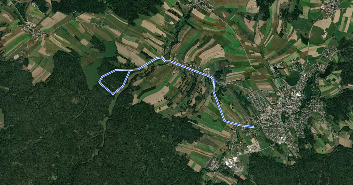 Маршрут Bruneiteichweg на спутниковом снимке