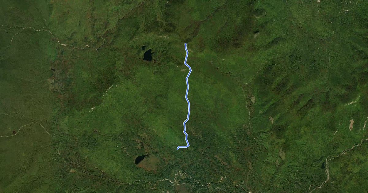 Маршрут Brunel Trail на спутниковом снимке