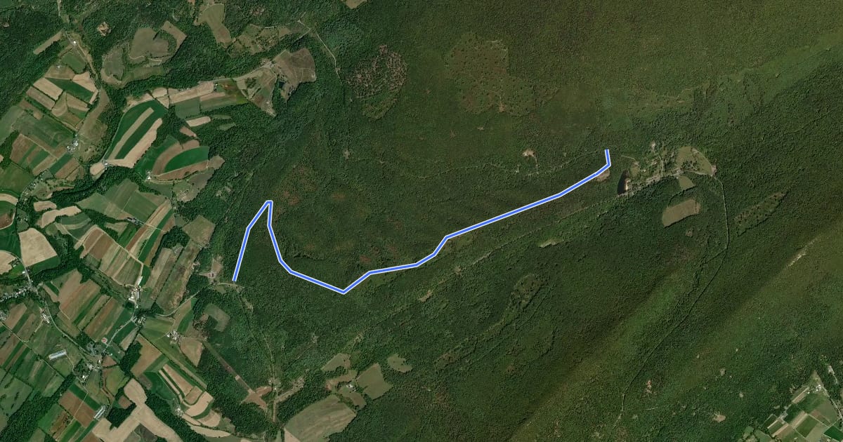 Маршрут Brush Ridge Road на спутниковом снимке