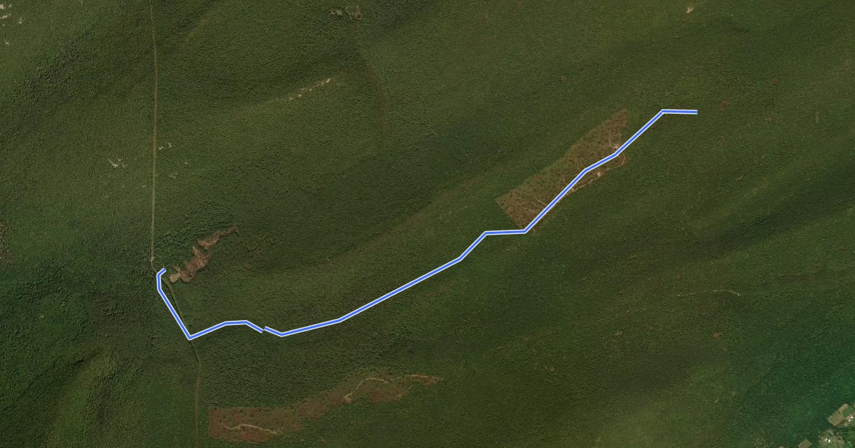 Маршрут Brush Ridge Trail на спутниковом снимке