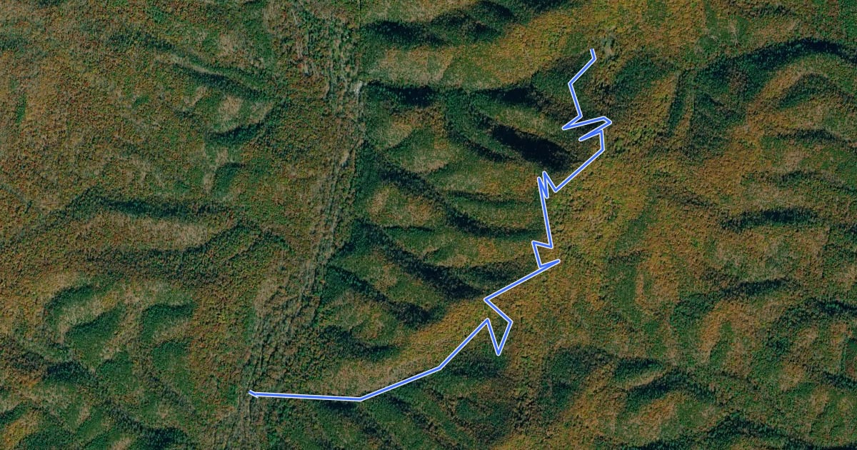 Маршрут Brushy Hollow Trail на спутниковом снимке