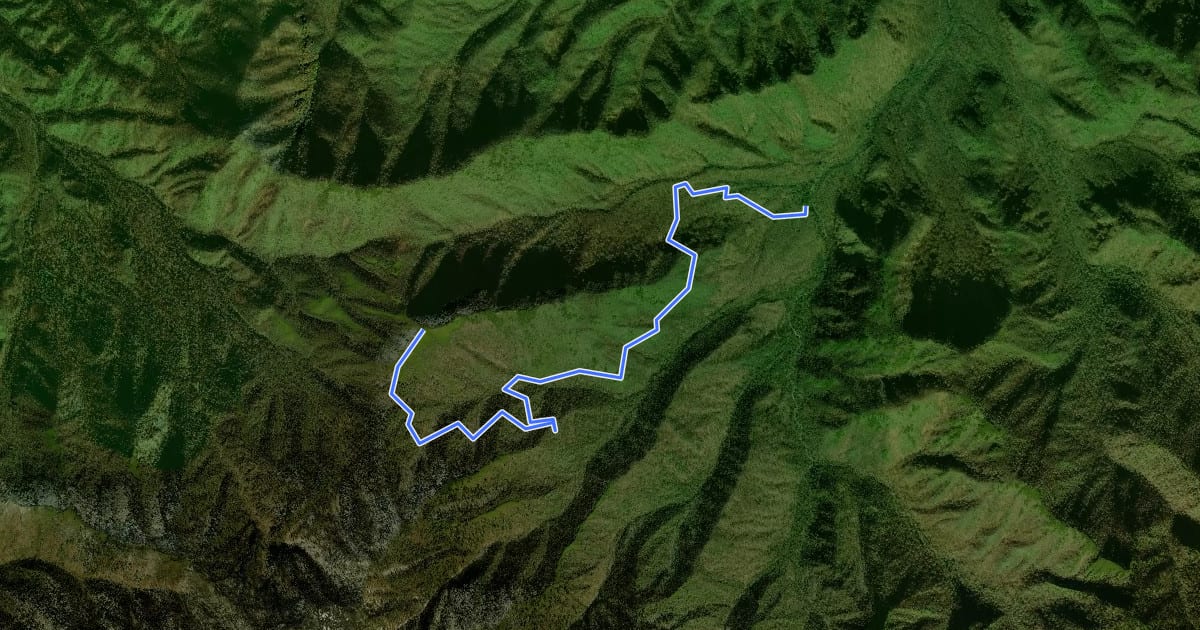 Маршрут Brushy Mountain Trail на спутниковом снимке