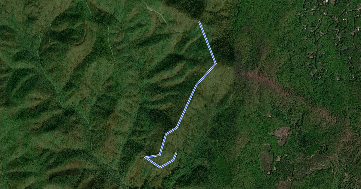 Маршрут Brushy Ridge Trail на спутниковом снимке