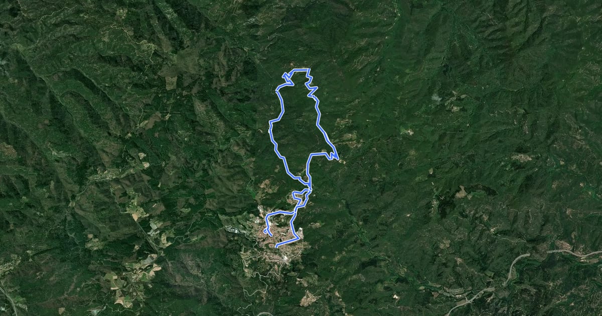 Маршрут BTT la Selva - 11. El Soler на спутниковом снимке