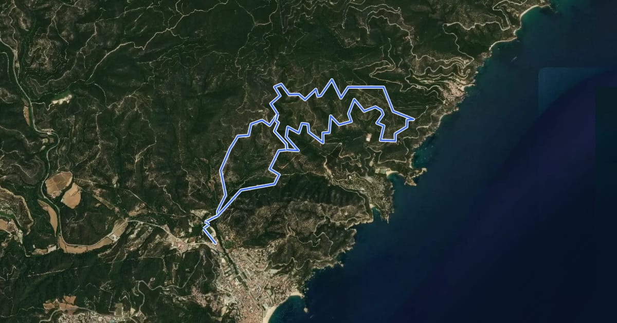 Маршрут BTT la Selva - 2. Les Planes de l'Aromir на спутниковом снимке