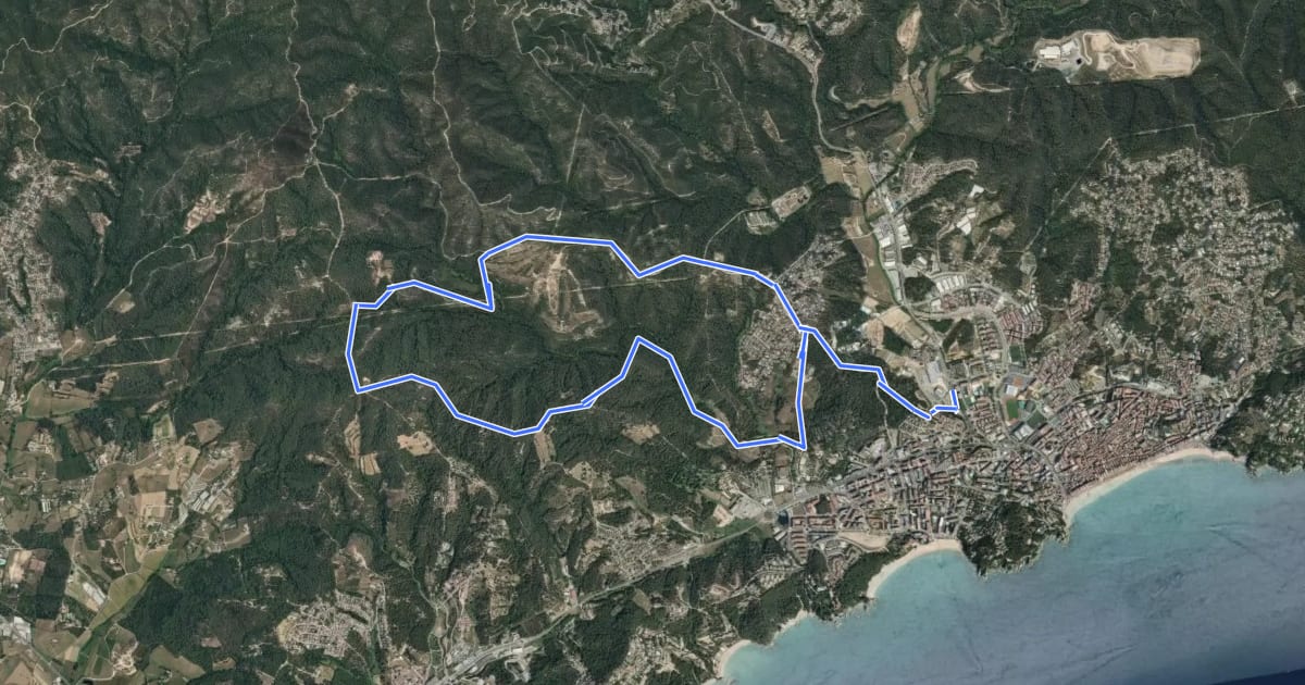 Маршрут BTT la Selva - 4. Sant Pere del Bosc на спутниковом снимке