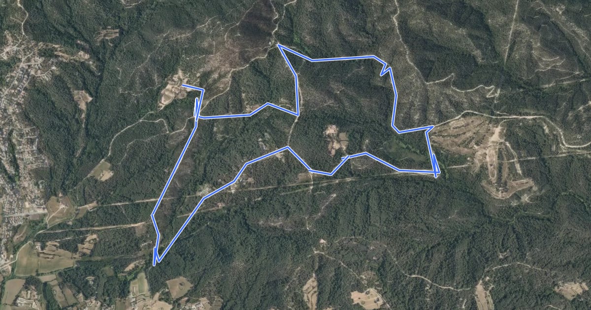 Маршрут BTT la Selva - 6. El Vilar на спутниковом снимке